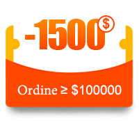 $100 coupon