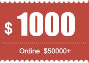 $1000 coupon