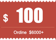 $100 coupon