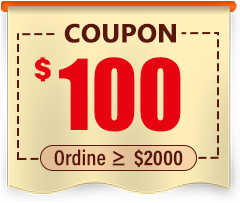 $100 coupon