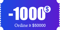 $1000 coupon