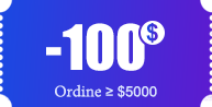 $100 coupon