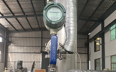 Evaporatore a film cadente su scala di laboratorio per il recupero dell'etanolo dettaglio - Il mirino e il flussometro in vetro di flusso possono osservare le condizioni del processo del campione in qualsiasi momento.