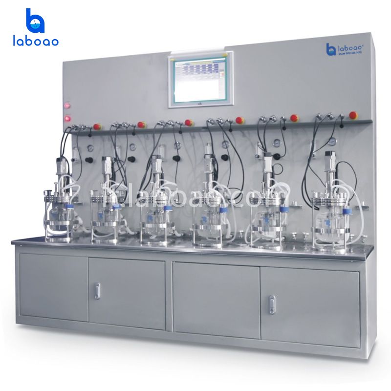 Sterilizzazione off-site Six-Twelve Conjoined Glass Bioreattore