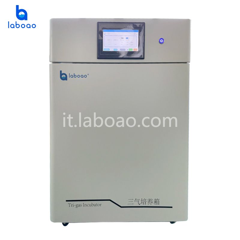 Incubatore trigas Incubatore CO2 O2 N2