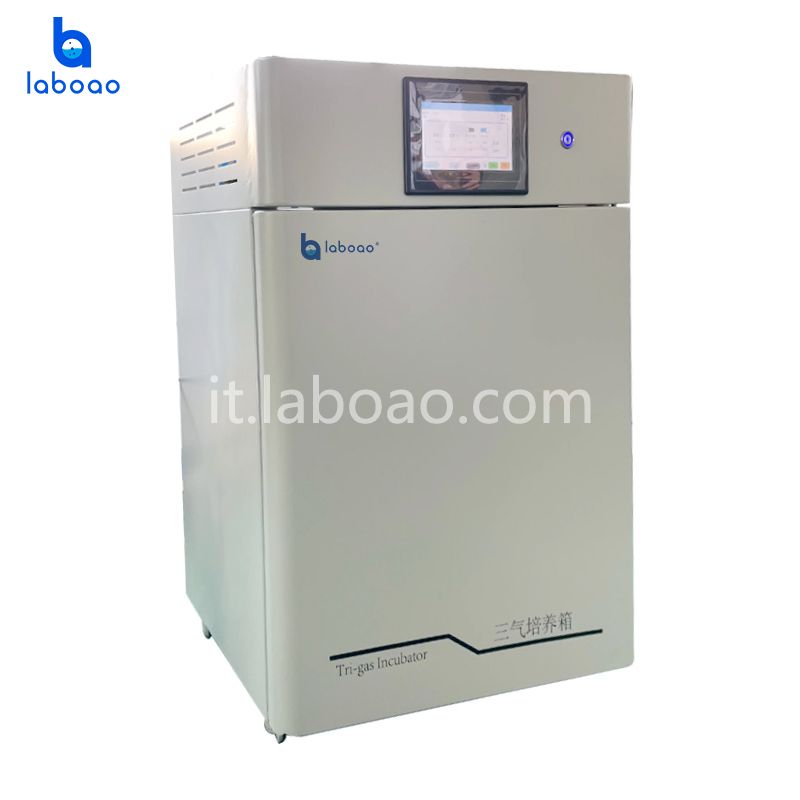 Incubatore trigas Incubatore CO2 O2 N2