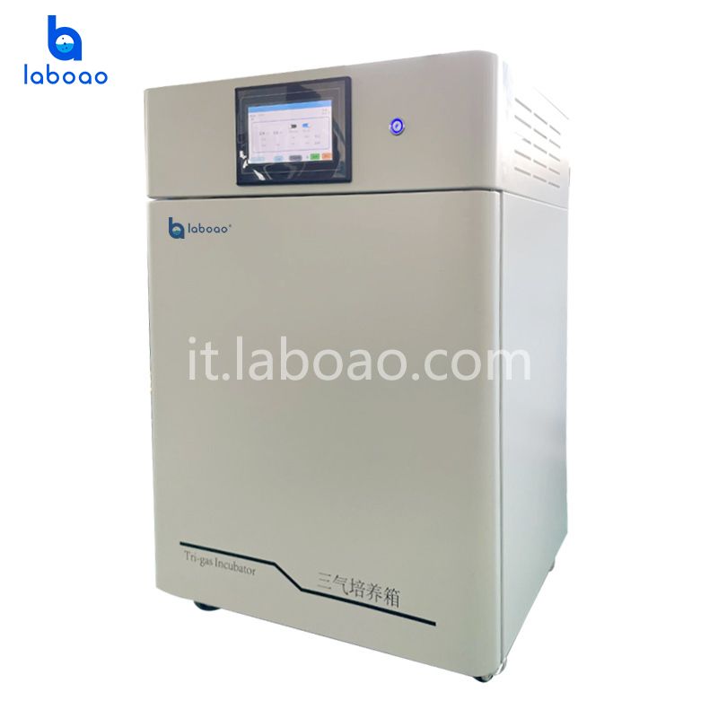 Incubatore trigas Incubatore CO2 O2 N2