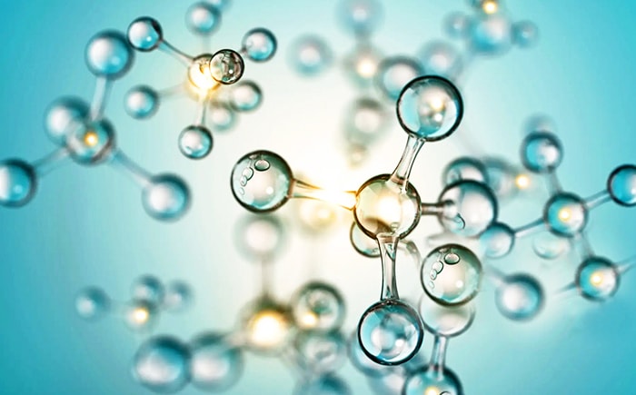 Biologia Molecolare E Genomica
