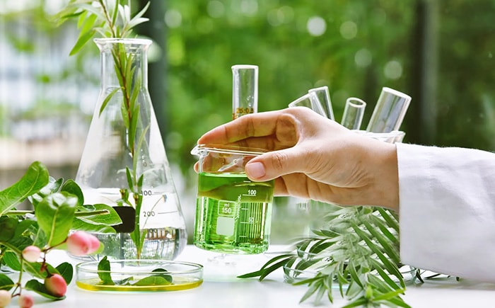 Estrazione E Purificazione Di Prodotti Naturali E Ingredienti Vegetali